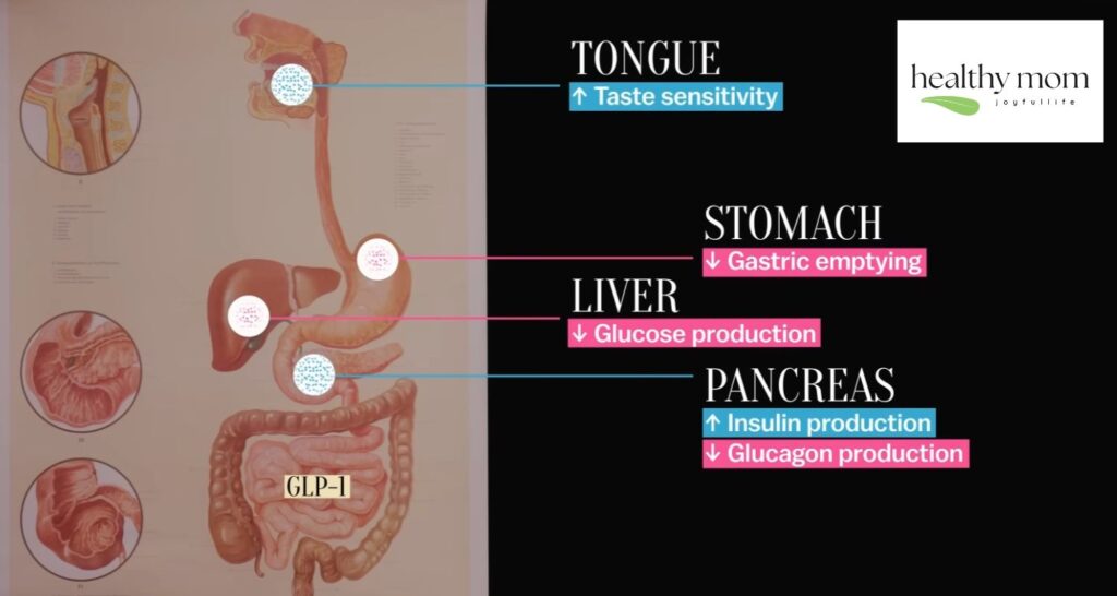 Sublingual Semaglutide for Diabetes Management Weight Loss